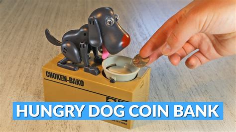 My Dog Puppy Hungry Eating Coin Money Saving Box Munching 